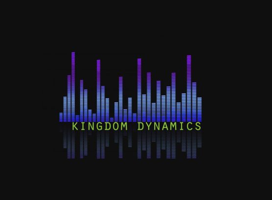 kingdom dynamics - slide